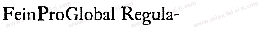 FeinProGlobal Regula字体转换